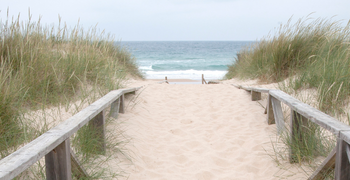 EL PALMAR